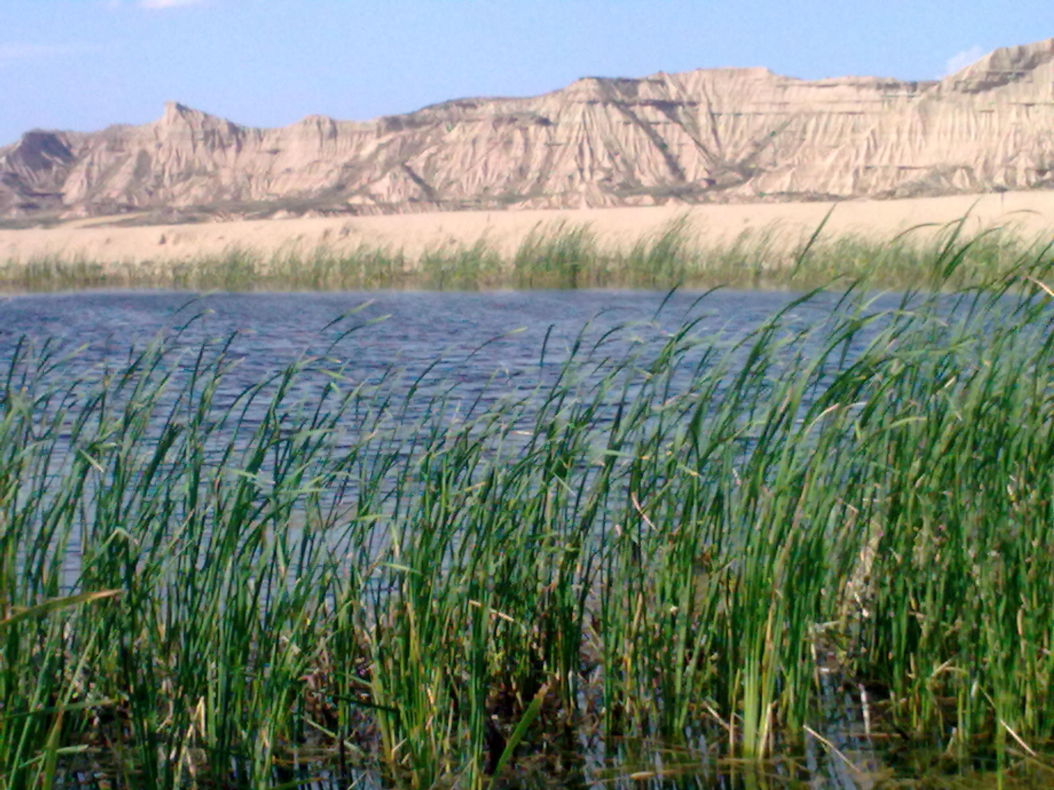 Bardenas (22)