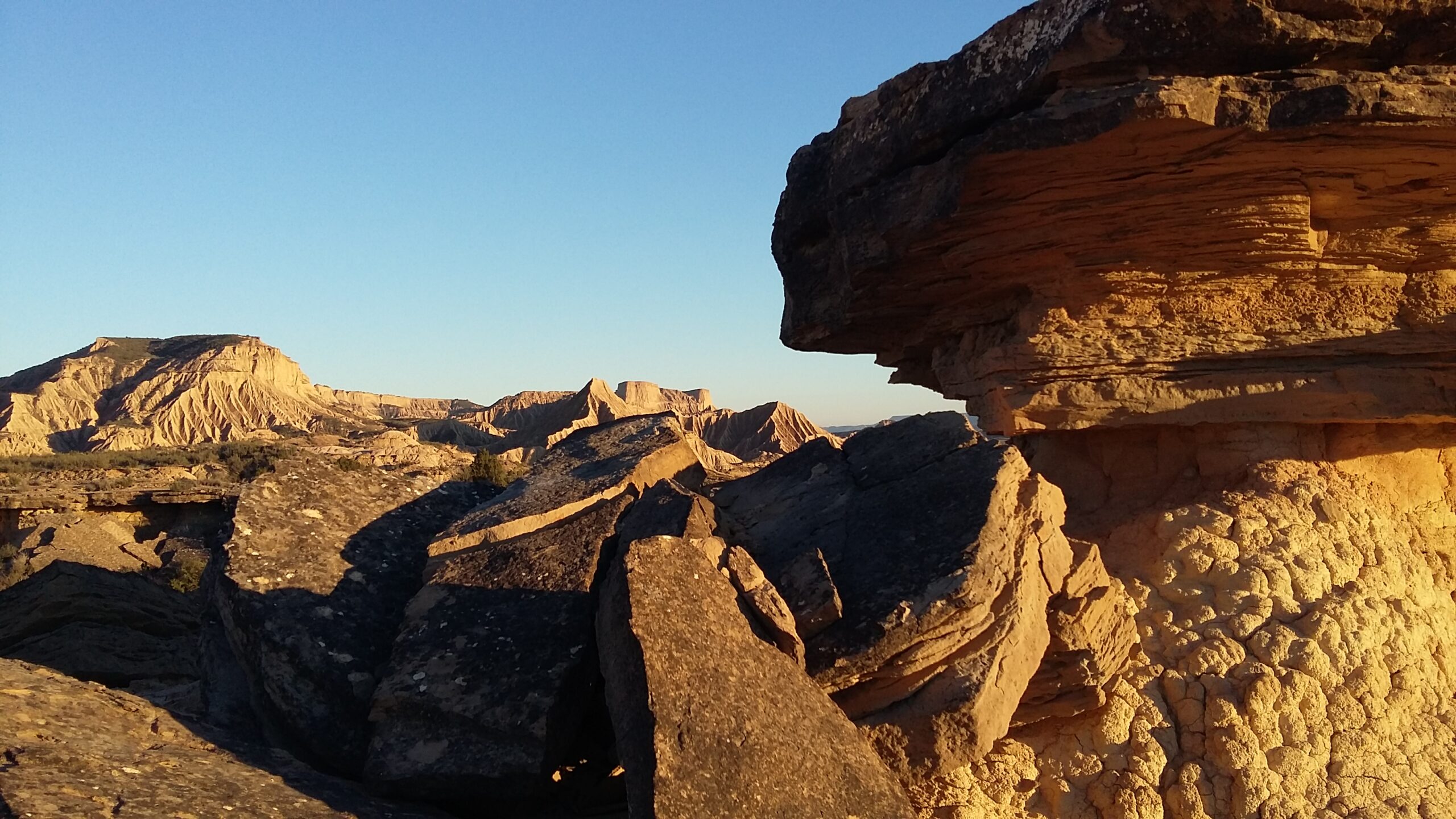 Bardenas (80)